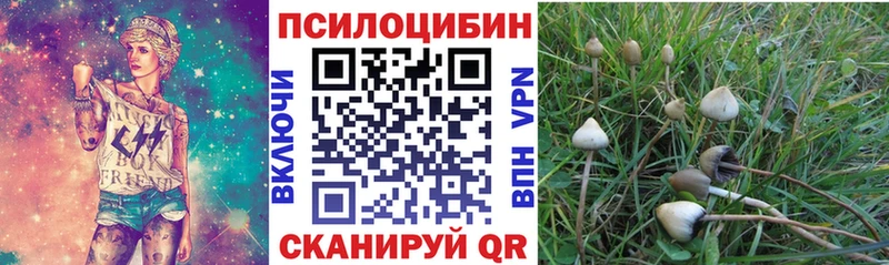 Купить  Нерехта  Псилоцибиновые грибы ЛСД 