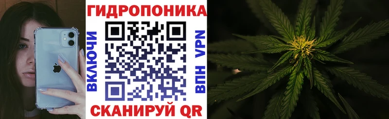 Купить закладки Нерехта Бошки марихуана AK-47